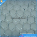 1 inch 20 Gauge PVC Coated Green Hexagonal Wire Mesh / Hex Netting